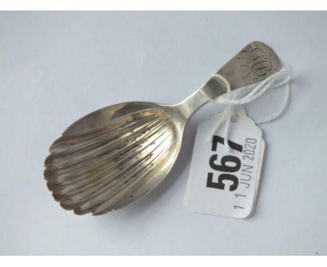 Exeter caddy spoon with shell shaped bowl by WW circa 1805 