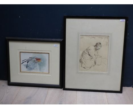 BRYAN HANLON C20th School 'Secretary Bird' watercolour by Brian Hanlon, indistinctly signed & dated '89 and 'Hubert Andrew Fr