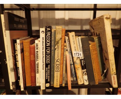 Shelf of mainly dog related books