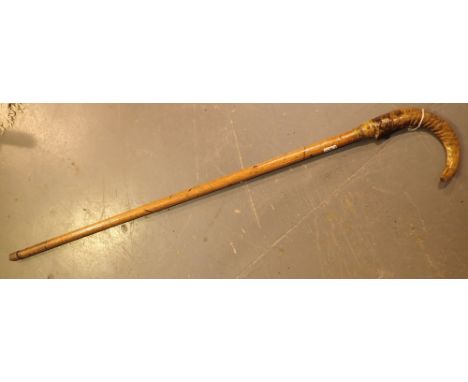 Vintage shepherds crook with rams horn handle 