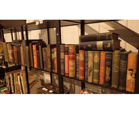 Three shelves of vintage books 