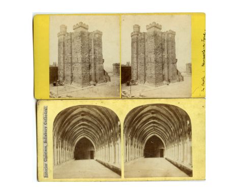 1860s Stereo Cards and a Later Holmes-type Viewer, British architectural and topographical views, Nicholson's Isle of Wight S
