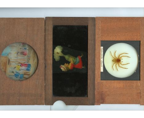 Mahogany-mounted Magic Lantern Slides,  chromo-litho lever of wizard, F, peeling (1), single slipping slides (3), circular ha