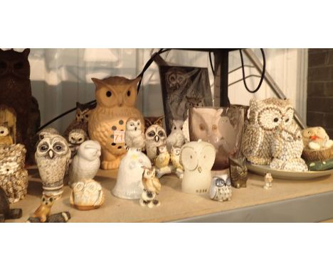 Collection of ceramic, resin and other owls. Not available for in-house P&amp;P, contact Paul O'Hea at Mailboxes on 01925 659