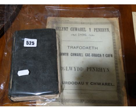 A Vintage Book Titled "Wreck Of The Rothsay Castle" Together With An 1896 Programme Relating To Penrhyn