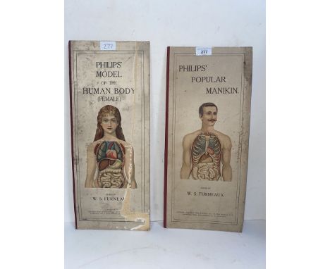 Vintage Philips' anatomical model books of the human body 