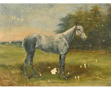 An Early 20th Century portrait of a horse, oil on board, 12" x 16", (unframed), (A/F).