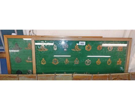 Two wooden display cases containing a large quantity of military cap badges including Duke of Cornwall's Light Infantry, Roya