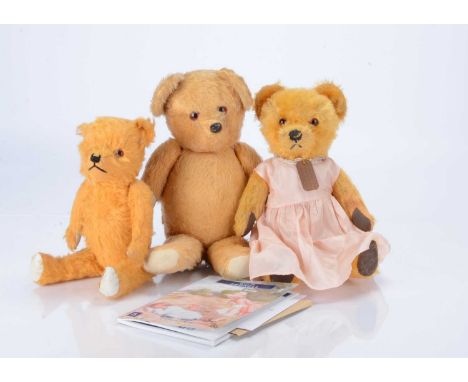 Susie - a post-war Chad Valley musical teddy bear, with golden mohair, orange and black glass eyes, black felt nose, black st