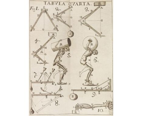 Giovanni Alfonso Borelli     De motu animalium. 2 Bände. Rom, A. Barnabo 1680-1681.  Berühmtes Werk des bedeutenden Mathemati