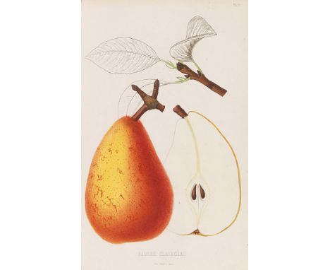 Pomologie de la France     du histoire et description de tous les fruits cultivés en France et admis par les congrès pomologi