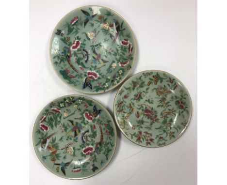 Three Chinese celadon glazed famille rose plates, each decorated with exotic birds and butterflies amongst flowers and foliag