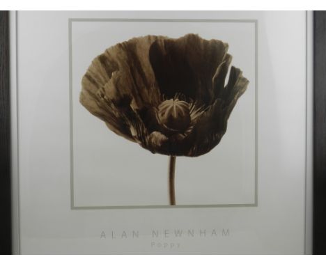 An art print of Poppy by Alan Newman, H.46cm W.46cm, together with an art print of Bouquet du Printemps by Caroline Boomsma. 