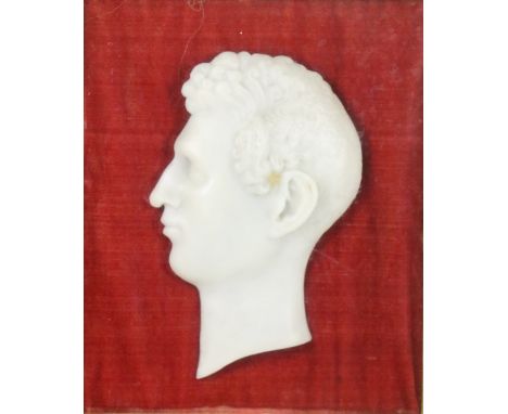 A 19th Century wax profile Portrait of a Gentleman, in relief, 7" x 5" (17 1/2" x 13cms), in glazed rosewood box frame. (1)