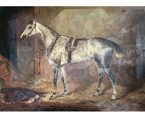 William Osborne, R.H.A. Irish (1823 - 1901)"Portrait of a Grey Horse in a Stable," O.O.C., approx. 51cms x 69cms (20" x 27") 