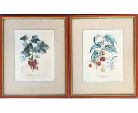 Two botanical prints: 'Groseiller à grappes' and 'La Galissonnière', each 32x24cm 