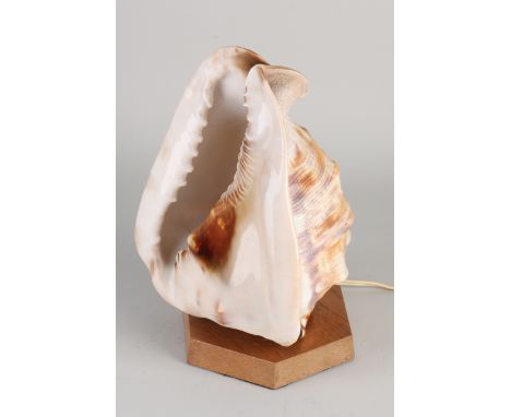 1950s table lamp with large seashell.&nbsp;Dimensions: 25 cm.&nbsp;In good condition.