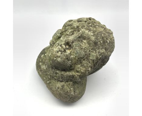  Carved architectural head, possibly 16th century with rose motif on forehead, H30cm approx    - Condition Report 