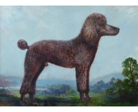  James Hardaker (British 1901-1991): Portrait of a Poodle, oil on board signed 54cm x 75cm   - Condition Report 