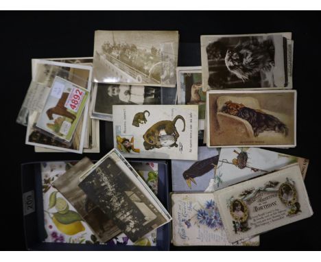 Vintage postcards, photographs and cigarette cards. Not available for in-house P&amp;P