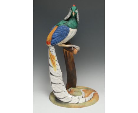 A rare and large Royal Crown Derby model, of a Lady Amherst?s Pheasant, perched on a stand, painted M E Reynolds, 48cm high, 