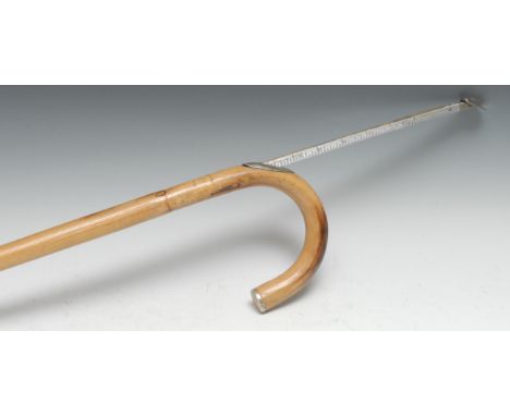 An early 20th century horse measuring walking stick, the bamboo cane enclosing a scale, curved handle, 100cm long 