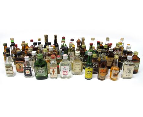 Whisky &amp; Other Miniatures - including, Bols, Liqueurs, Sherry, Whiskies, White Horse, Haig, Rums, Tequila, Gins, Grand ma