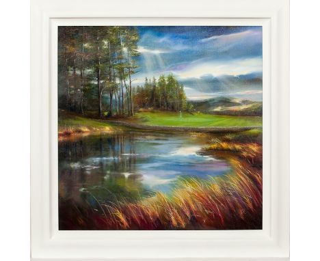  DOUGLAS ROULSTON, FALLING LIGHT AT THE MICKLE SKELP oil on canvas, signed 100cm x 100cm Framed 
