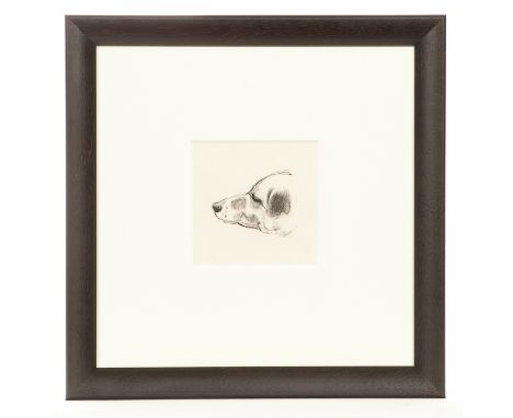  * ALBERTO MORROCCO OBE RSA RSW RP RGI LLD D Univ (SCOTTISH 1919 - 1998), PORTRAIT OF MY MUTT Indian ink on paper 12cm x 12cm