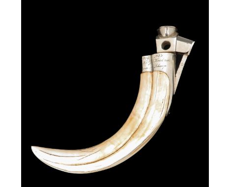 made from a tusk of a wild boar, with silver fittings with inscription, length 20 cm.