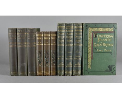 Anne Pratt, Flowering Plants, Grasses and Ferns of Great Britain, six volumes, R W Butcher, a New Illustrated British Flora i