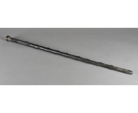 An Irish ebonised hawthorn, silver and agate cane, the tapered shaft carved with harp and shamrock, on a naturalistic base, w