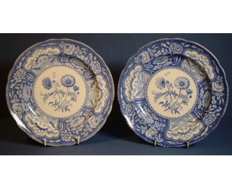 Two Copeland & Garrett, late Spode plates blue transfer pattern: 'Floral', with both impressed and factory marks to base, D23