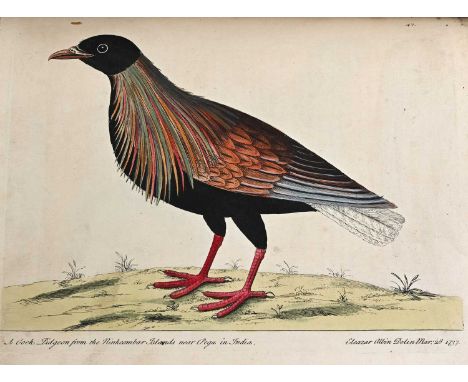 Albin, Eleazar, A Natural History of Birds, Illustrated, 1731/38, first edition, volumes one and three, William Innys, London