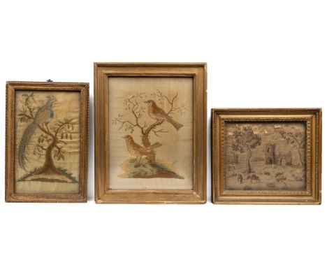 The first a picture of a bird perched on a branch; the second of two birds, one in a tree, one on the ground; the third of a 