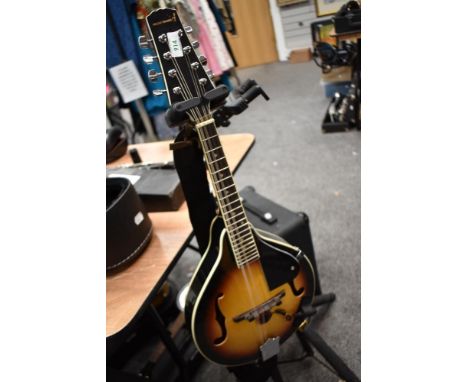 A modern mandolin, Rocket music , with later added pickup and soft stag case