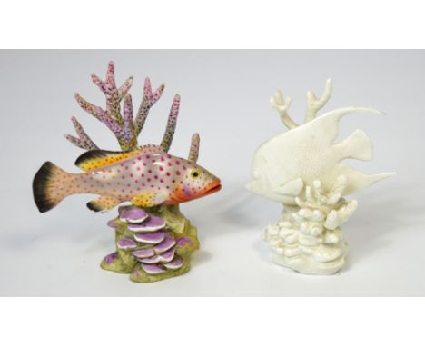 Royal Worcester models of fish; 'Blue Angel' no.357 and 'Red Hind' no.3572  modelled by R. Van. Rugckwilt, height of both 13c