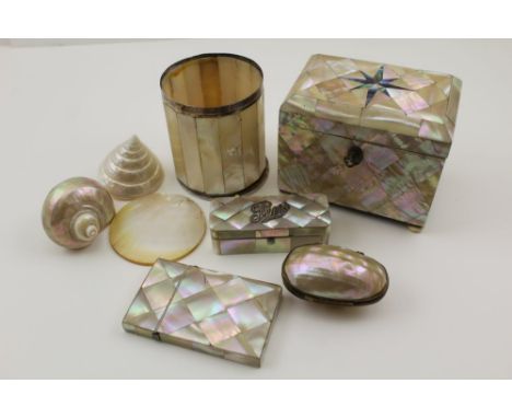 A 19TH CENTURY MOTHER-OF-PEARL INLAID TEA CADDY, the hinged cover revealing inner lid, with key, raised on four bun feet, 11.