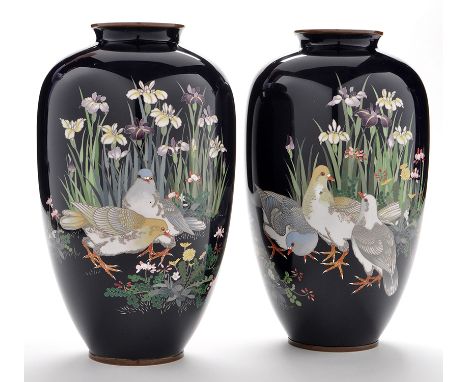 Pair Japanese cloisonne vases, of ovoid form with indigo enamel grounds having doves feeding amongst white and mauve irises, 