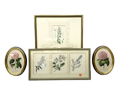 English School (19th/20th century): Wild Flowers Triptych, watercolours indistinctly inscribed together with triptych antique