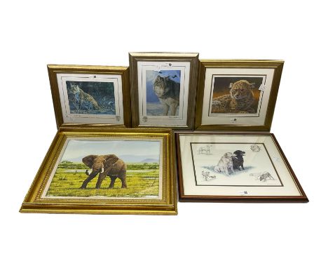 After Stephen Gayford (British 1954-): 'Little Princess' 'Enigmatic' and 'Winter Sun', set three limited edition colour print