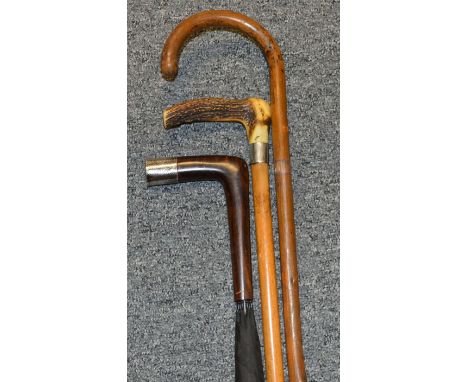 Cane handle walking cane, walking stick + mounted umbrella 