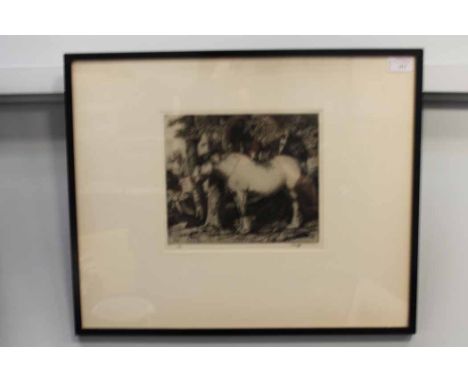 C. F. TUNNECLIFFE,
SHIRE HORSE
etching, signed and numbered 3/75
20.5cm x 23.5cm 
Mounted, framed and under glass
