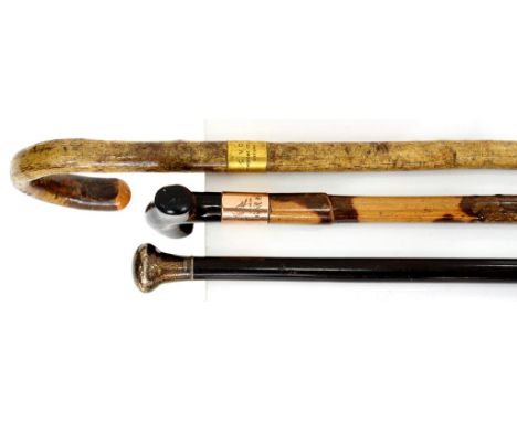 A 9CT GOLD MOUNTED BAMBOO WALKING CANE WITH FAUX TORTOISESHELL TAO HANDLE, HORN TIP, 92CM, AN EBONY CANE WITH DIMPLED SILVER 