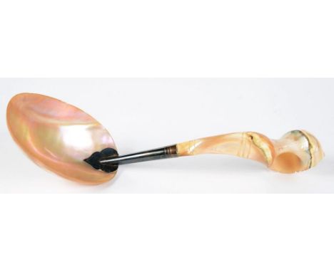 A SEASHELL HANDLED AND SILVER MOUNTED LADLE WITH MOTHER OF PEARL BOWL, 26CM L, PROBABLY 19TH C