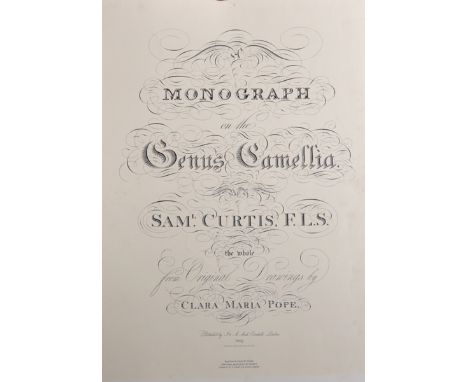 After Clara Maria Leigh Pope (c.1750-1838) British. 'A Monograph on the Genus Camellia', by Sam Curtis F.L.S., Print, Unframe