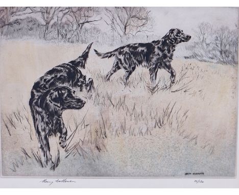 HENRY WILKINSON (BRITISH, 1921-2011)Two setterssigned and numbered 'Henry Wilkinson 52/150' (lower margin)coloured etching34.