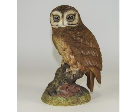 Aynsley Signed Hand Painted Ceramic Bird Figure ' Tawny Owl ' c.1978. Stands 8 Inches High. All Aspects of Condition Is Good.