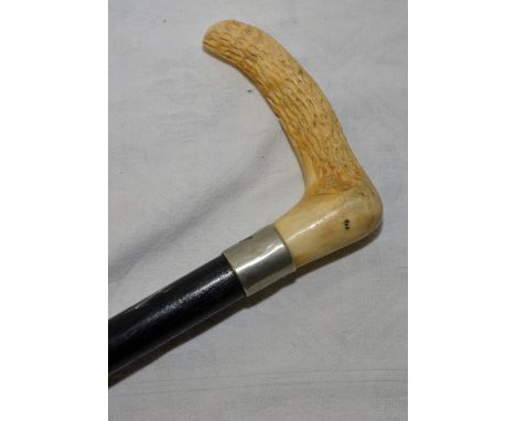 Horn handled walking stick with white metal collar