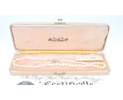 A set of vintage Ciro of Bond Street graduating cultured pearl necklace having a 9ct gold clasp, complete with certificate fr